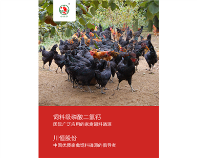 �a(ch��n)�I(y��)�a(ch��n)Ʒ